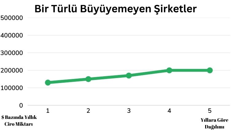 Satışlarımızı Artıramıyoruz